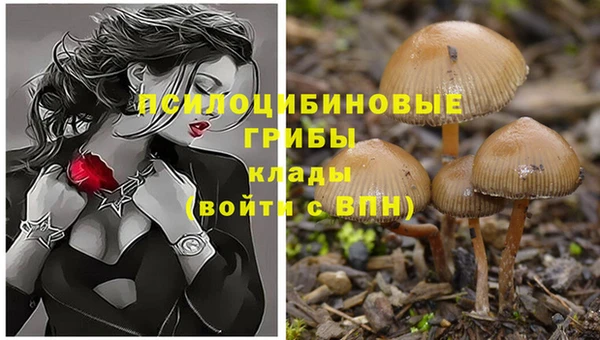 прущие крисы Беломорск