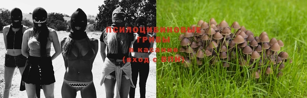 героин Белокуриха